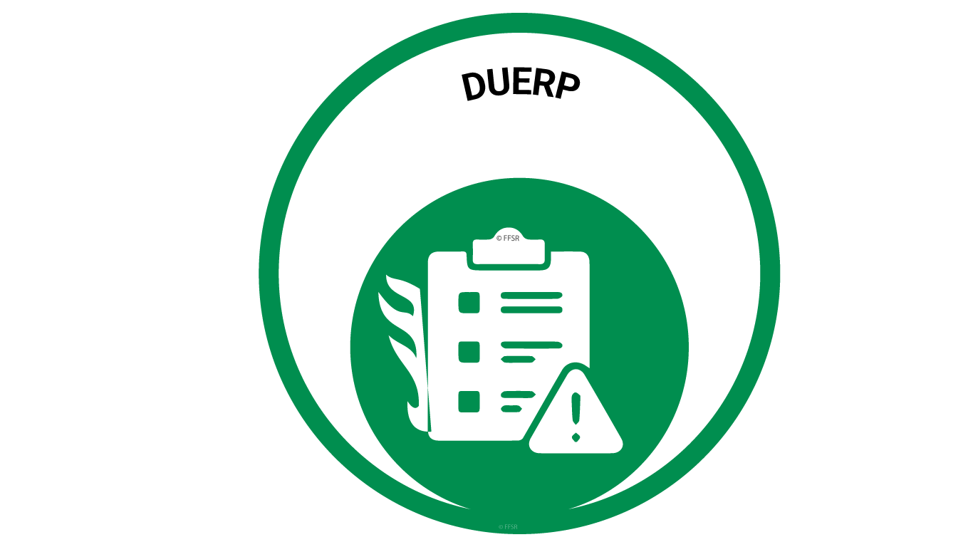 logo-DUERP-ffsr